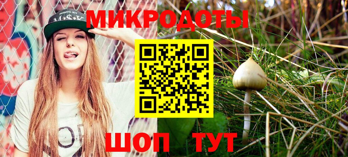 Галлюциногенные грибы мухоморы Анжеро-Судженск